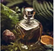 Fougère Perfumes